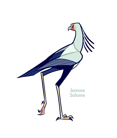 oxboxer:  A secretary bird. Animal commission! Available on S6.  Tumblr is just full of goodies tonight <3 Secretary birds are pretty damn awesome, in case you didn’t know. 