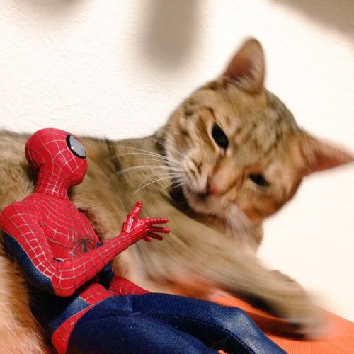 carudamon119:  ハマジ‏@xxhama2スパーン！ Dodge !