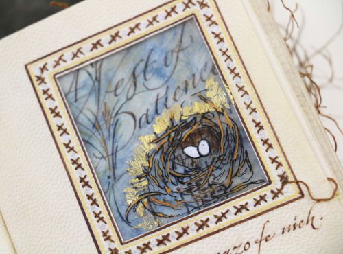 uispeccoll:Of all the artist books we have in our department, Nest of Patience is by far my favorite