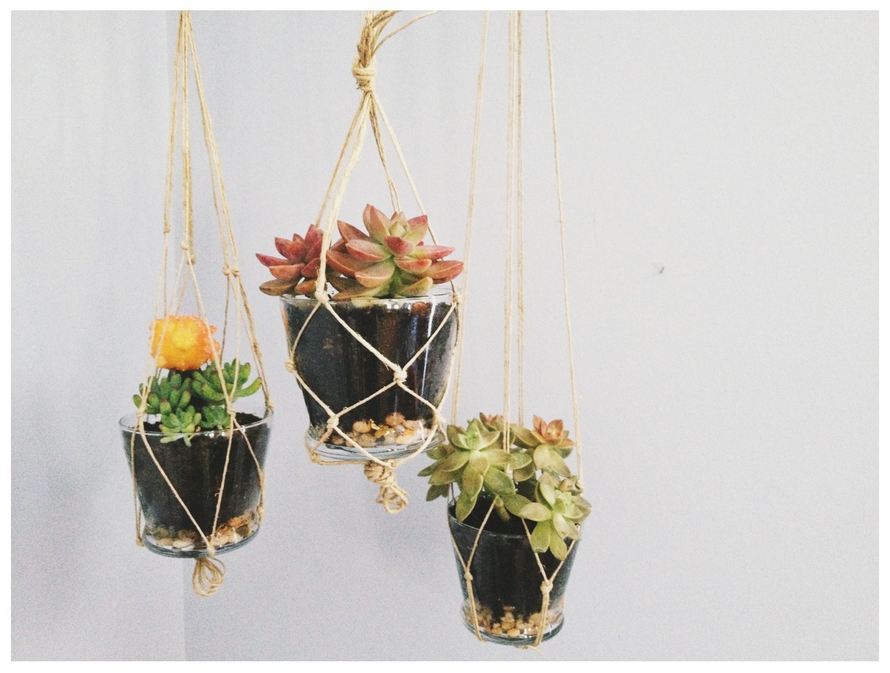 a-ctor:  localgypsy:  made some hemp hangers for my new little succulents  omghhh