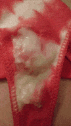 mrmeethre3:  Follow me for more hi quality photos of beautiful panties!