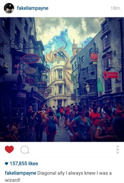 niallofficul:  Liam u are so precious to me but u fake af its diagon alley.  “I’m a wizard” my ass 