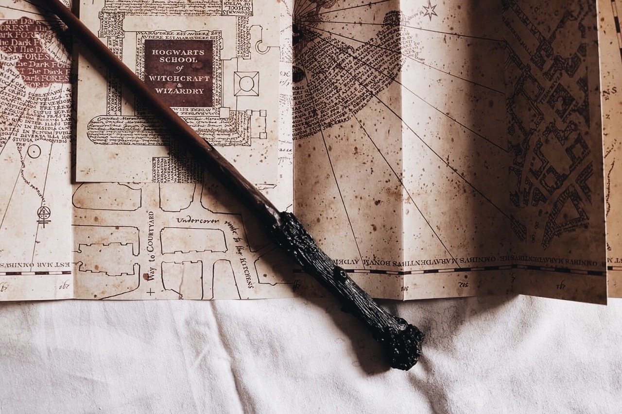 introvertedbookworm24: I solemnly swear that I am up to no good