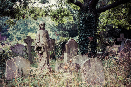 marlessa:Brompton Cemetery (one of the Magnificent Seven), London