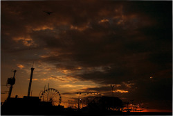 dendroica:  Seaside Park Sunrise by Jack