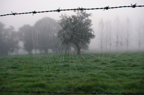 Mesnuls, Montfort l'Amaury, Automne 2014 by jlfaurie on Flickr.