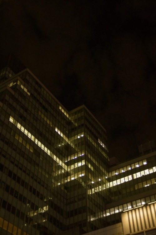 Night Lights