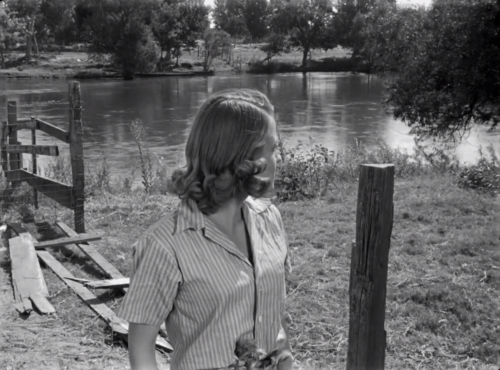 THE SOUTHERNER (1945, dir. Jean Renoir)