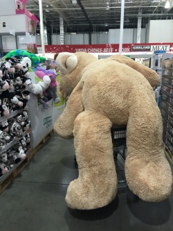 harlequinprncss:  let-itbebabygirl:  asian:  asian:  I watched the Shia labeouf’s motivational video last night and felt really inspired. So I went out and bought a Costco bear that I’ve always wanted  Don’t let dreams be dreams.  Update: I no longer