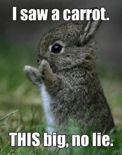 giantgagofficial:   Funny pictures of the day (119 pics)  I Saw A Carrot THIS Big, No Lie