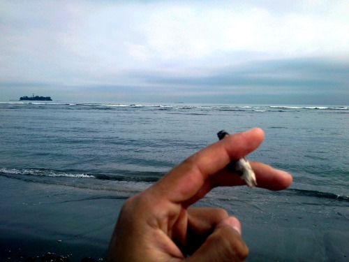 strong-weed-live:  Veracruz :3 