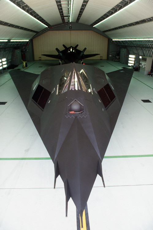 rhubarbes:F-117 stealth fighter (lost source).More Air force here.