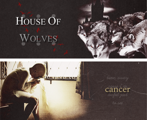 adropofchaos:  my chemical romance album photosets:  the black parade  