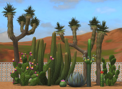 the strangerville desert plants. polycount readme included.Credits: EA/Maxis.Download @ SFS.