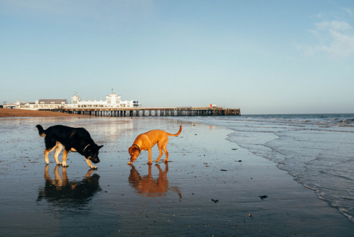 South Parade Pier, Low Tide, March 2018