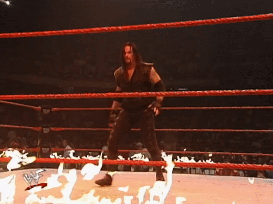 1991-09-07 WWF King Of The Ring - King Of The Ring Tournament Opening -  Roadwarrior Animal vs The Undertaker - video Dailymotion