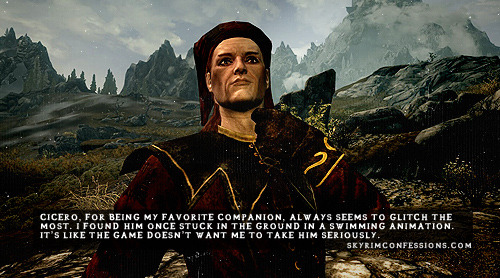 TES V: Skyrim Confessions — ”Cicero, for being my favorite companion,  always...