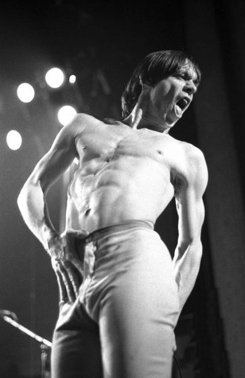 soundsof71:  Iggy Pop, Detroit 1977, by Robert Matheu