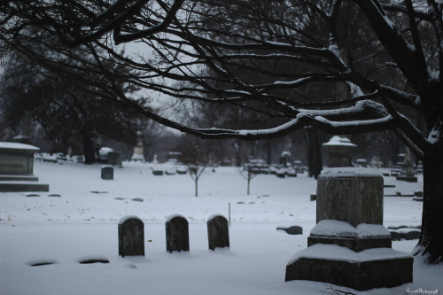garettphotography:Graceland Cemetery | GarettPhotography