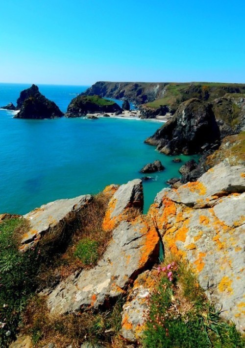 fuckitandmovetobritain:Great Britain: Branscombe, Eilean Donan Castle, Winchester, Kynance Cove, Lin