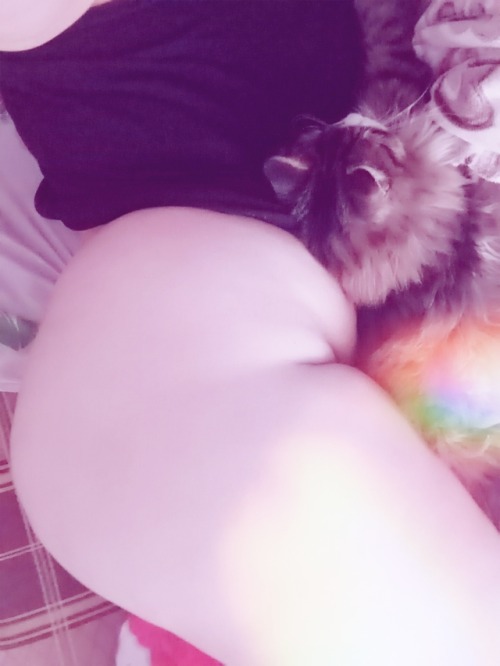 simonovarin:  Soft and kitty 💖💜💖
