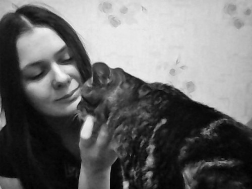 my cat and me)
