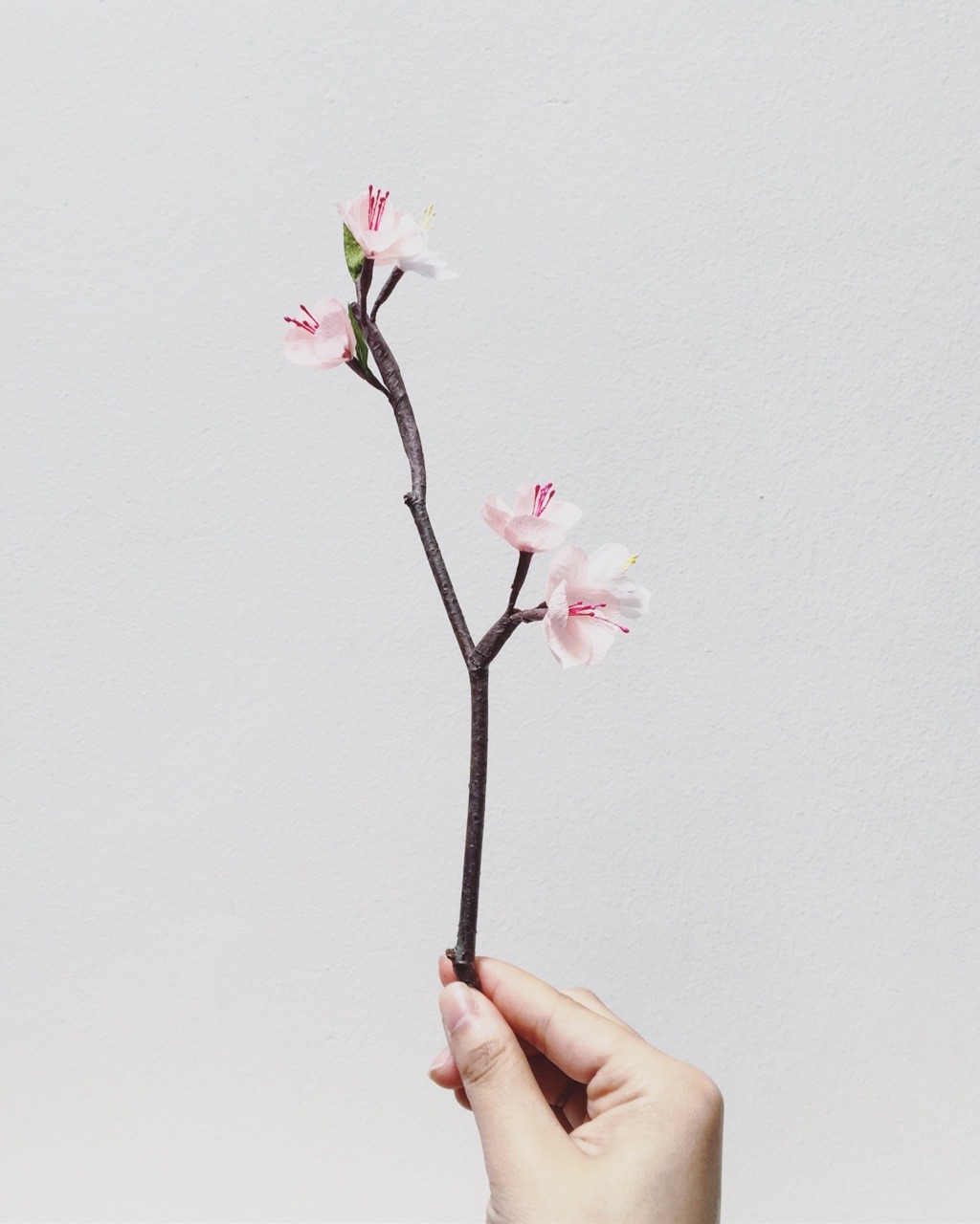 yoyothericecorpse:  hi bud is loving the paper cherry blossom branch I made (I MADE!!!!!)