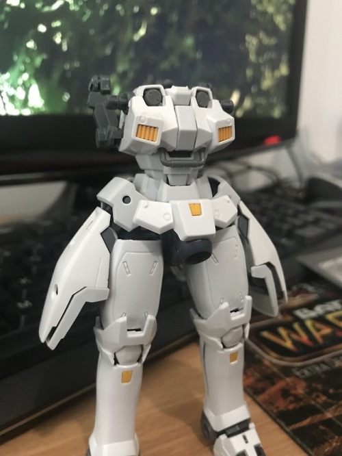 More Tallgeese progress! Also cat from farmers market cat.