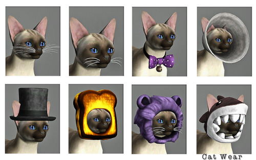 mspoodle1: [Sims 3] Mel’s Pet Project - TS4 Conversion*You must have the Pets EP* I know you know bu