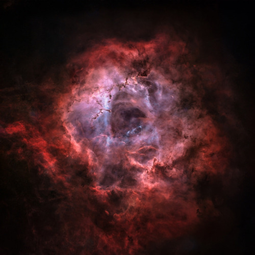 Porn photo spaceexp:  A starless Rosette Nebula Source: