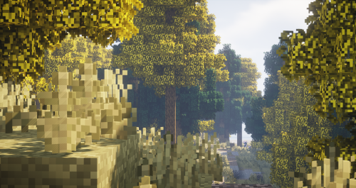 A yellow wood ~Messing around with biome colors.