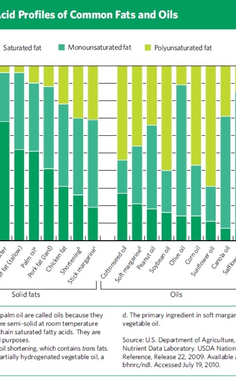 2010 Dietary Guidelines: Fat 101