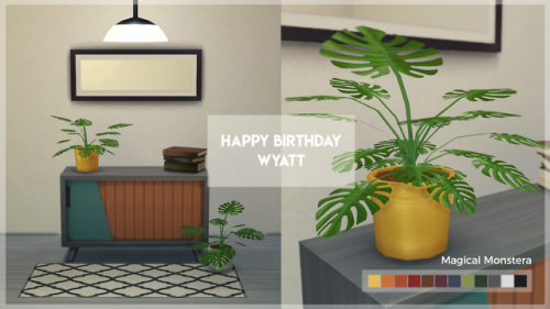 A few gifts to celebrate @wyattssims’ birthday from @applezingsims, @javabeandreams, @nolan-sims, an