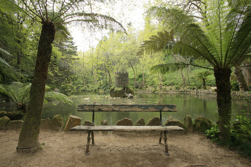 Parque Nacional da PenaSintra, Portugal