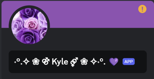 a screenshot of a discord profile displaying a purple profile picture filled with roses and a highly decorated name (Kyle) with a purple emoji heart next to it.