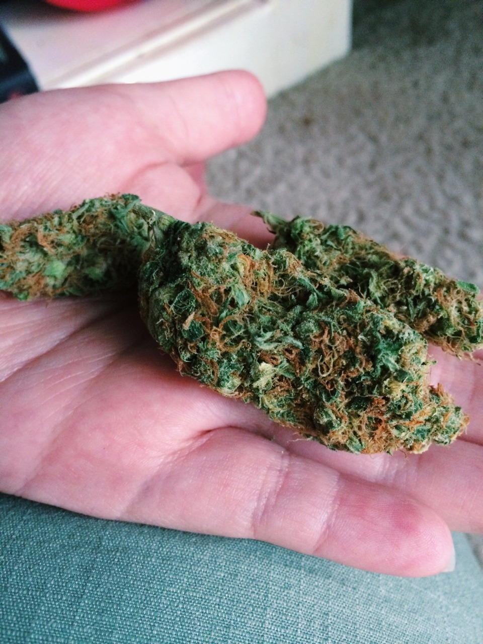 rubsta:  Beautiful nugs Photo by Rubsta