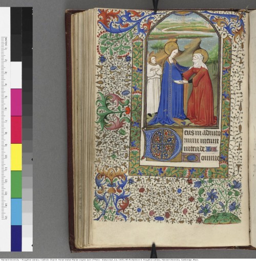 Catholic Church. Horae beatae Mariae virginis (use of Paris) : manuscript, [ca. 1435]MS Richardson 6