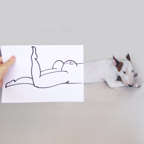 Dog owner creates fun and adorable illustrations with his Bull Terrier[via rafaelmantesso]