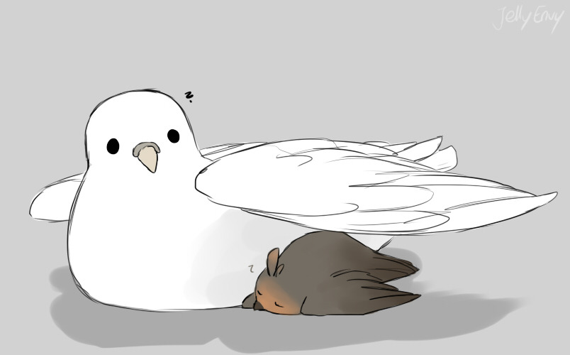 jellyenvy:  someone please stop me i’m serious birdshipping fucking kokoro archimedes