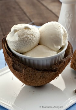 seefooddieit:  (Coconut Ice Cream)