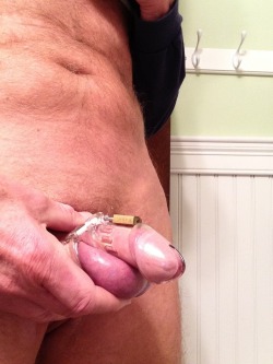 lovebeinghercpb:  boststud1:  Second hardon of the night while wearing the chastity device. This getting to be too much!! Get me out if this fucking thing…..And some dude commented earlier that I needed a smaller cage. Think I need a smaller one now??