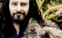ladyunderthemountain:Thorin’s past and suffering had changed his nature and his ability to see the j