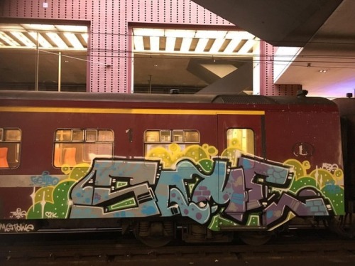 #belgiumgraffiti #paintedtrains #traingraffiti #graffititrain #benching #trainbombing #trainart #rai