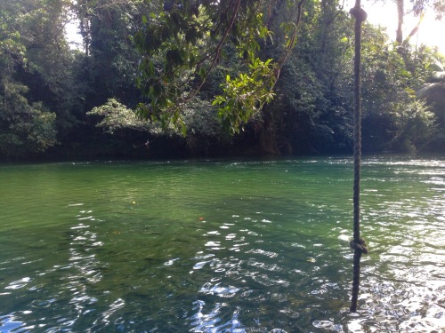 shanimalplanet:  Kayaking in the rainforest