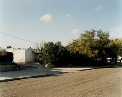 botanize:  Stephen Shore, Arizona (1974)