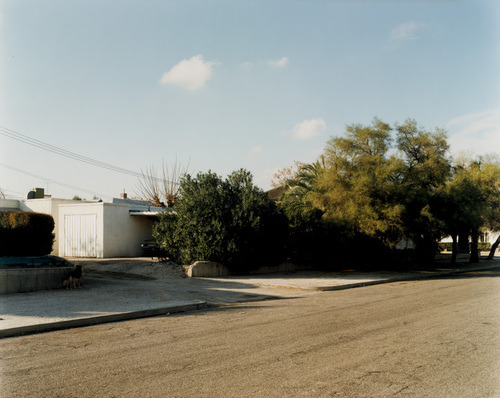 botanize:  Stephen Shore, Arizona (1974) 