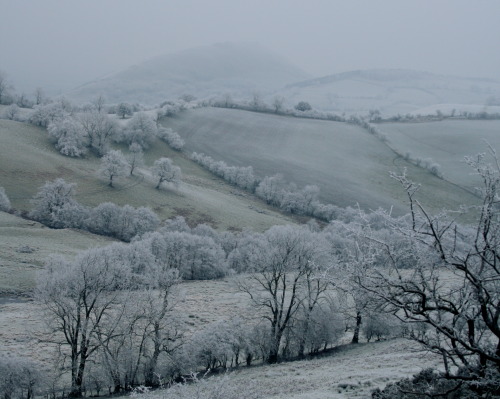 expressions-of-nature:Shropshire, England by Nigel Jones