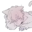 catnaxa
