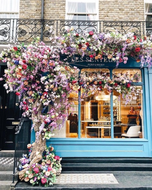 kcyang688:prettylittlelondon/instagram.com Les Senteurs Picture by @lukecabrahams