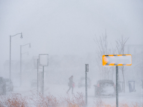 one last blast of winter. this week we had a legitimate blizzard roll through. I got out for an hour